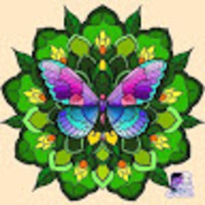 Meet your Posher, Luz